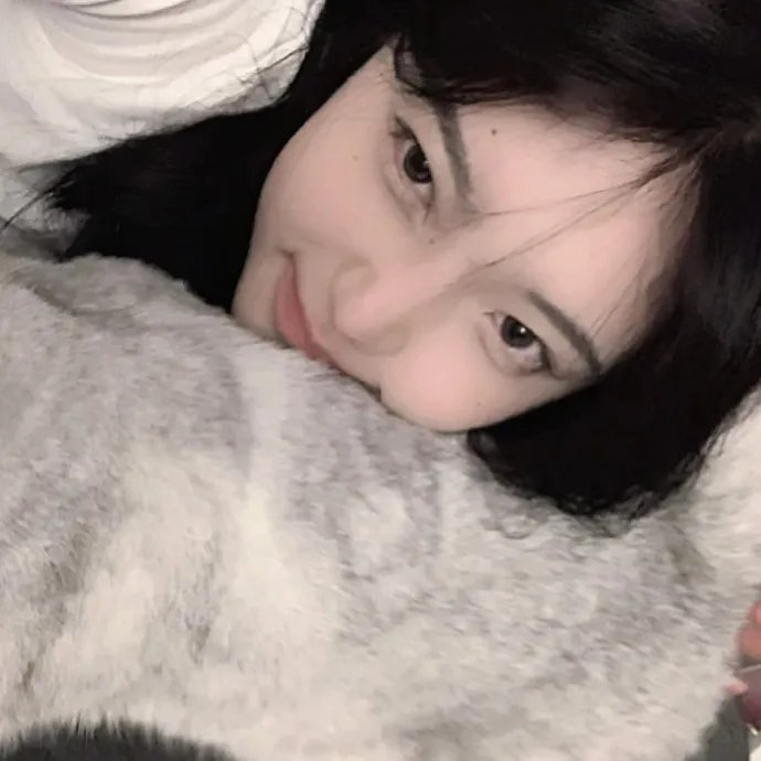 盗影谜情